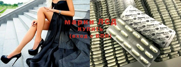 стафф Семикаракорск