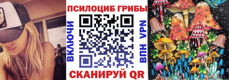 Псилоцибиновые грибы Psilocybe  цена наркотик  Донецк 